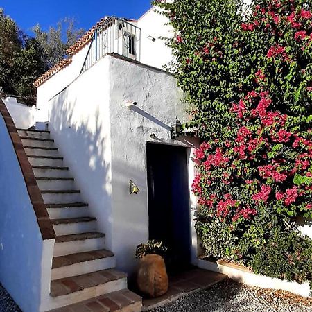 Attico Los Montes With Private Pool Viñuela Екстериор снимка