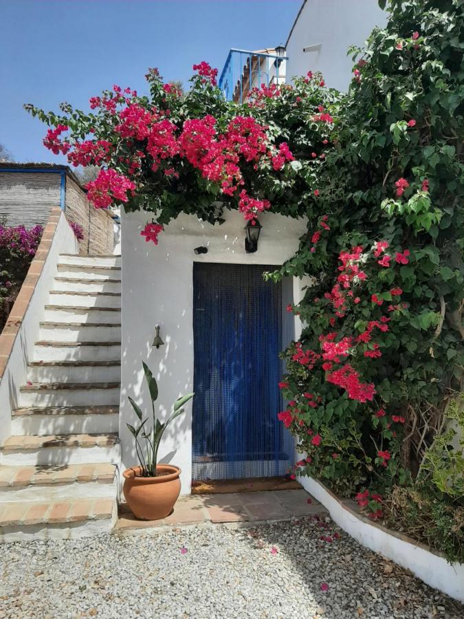 Attico Los Montes With Private Pool Viñuela Екстериор снимка
