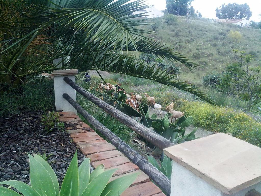 Attico Los Montes With Private Pool Viñuela Стая снимка